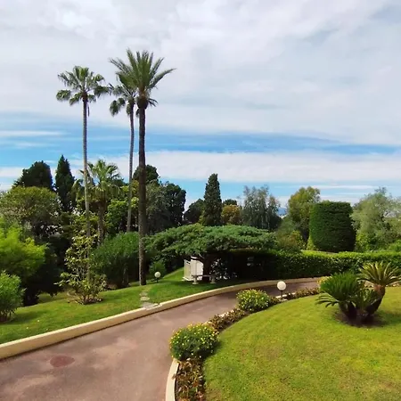 We ! Exceptional 4 Center Swimming Pool * カンヌ